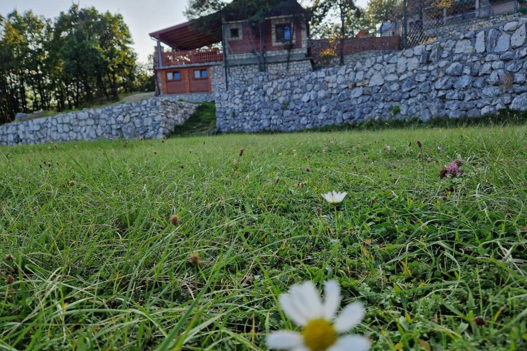 Photo of Others in Cetinje