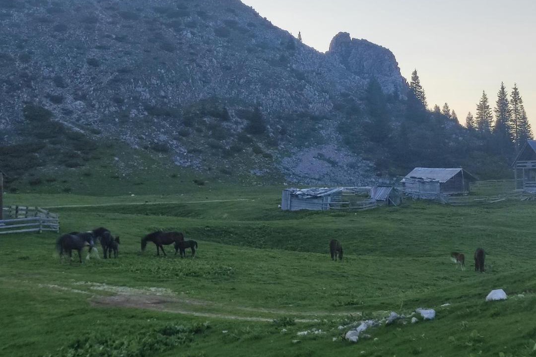 Photo of Others in Kaludra
