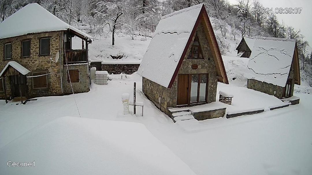 Photo of Others in Montenegro
