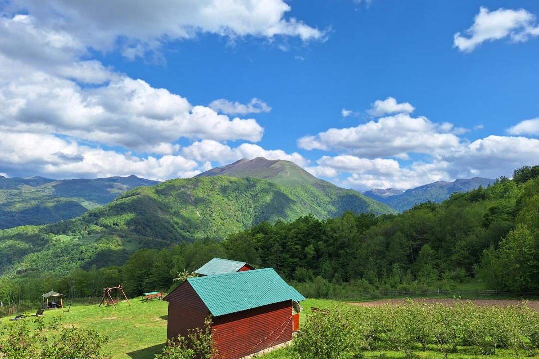 Photo of Others in Mojkovac