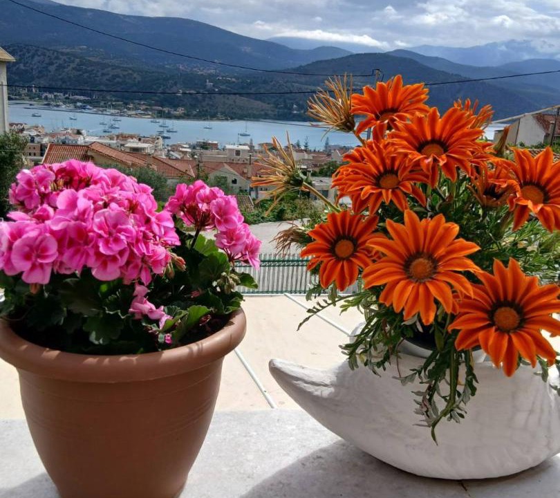 Photo of Others in Argostoli Town
