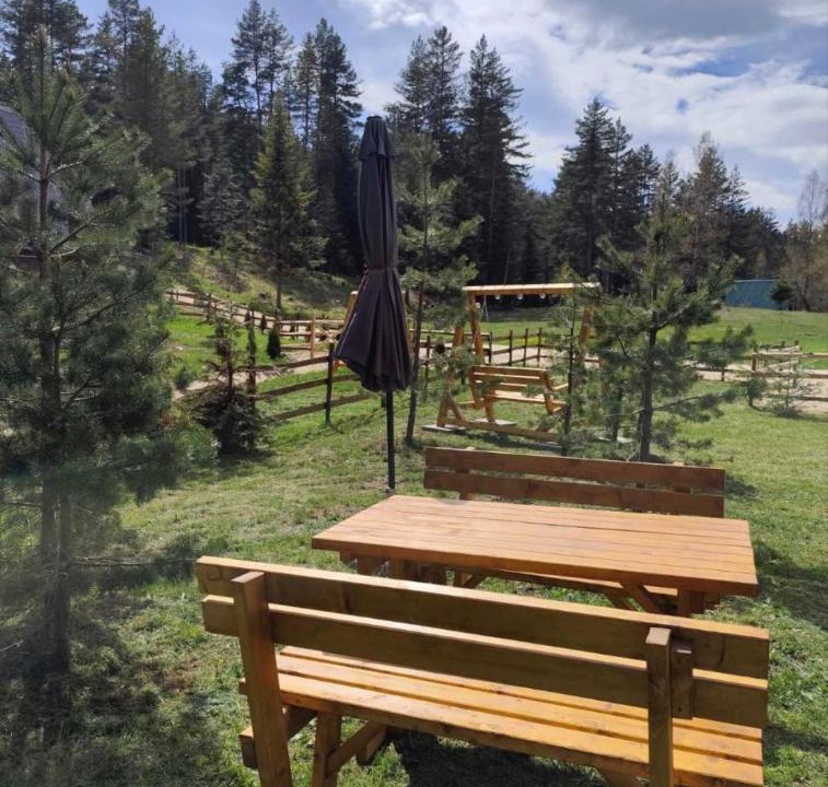 Photo of Others in Zabljak