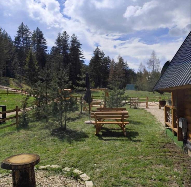 Photo of Outdoor in Zabljak