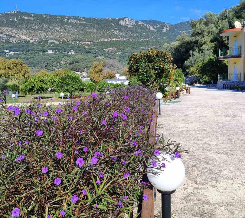Photo of Others in Parga