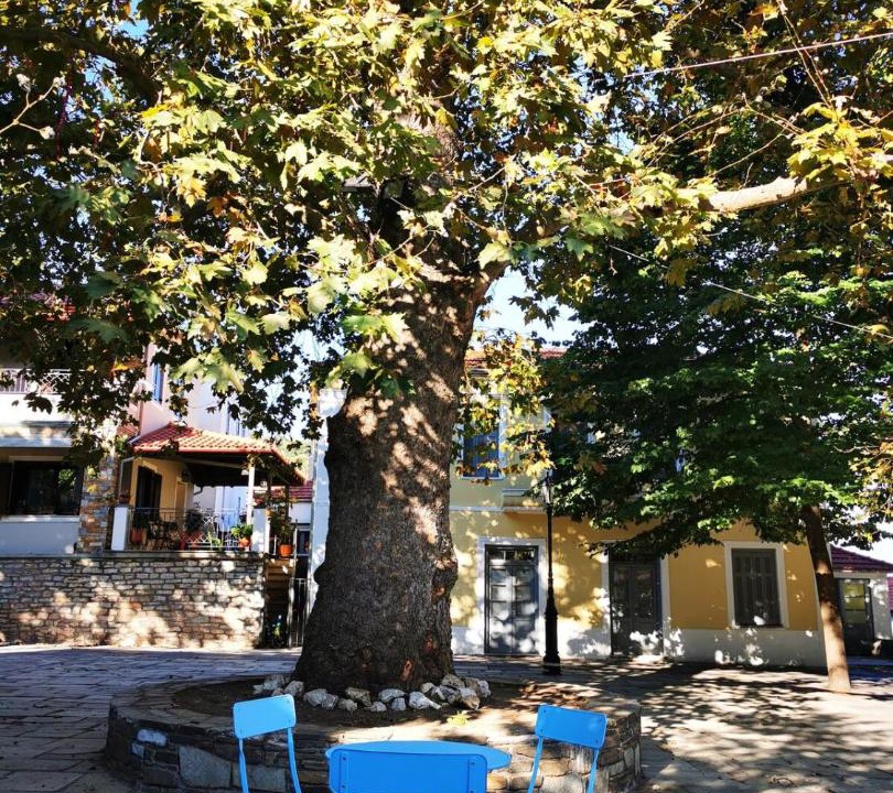 Photo of Others in Chrisochorafa