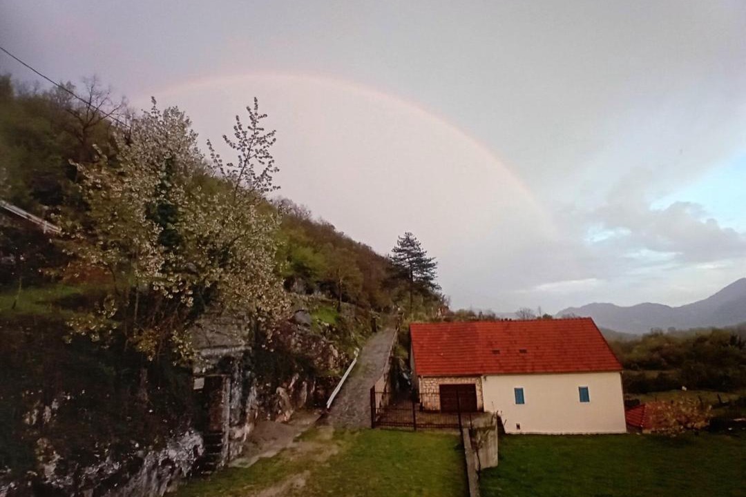 Photo of Others in Cetinje
