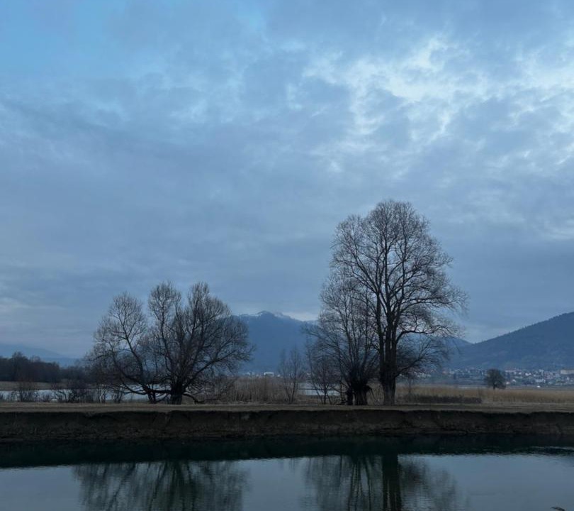 Photo of Others in Plav