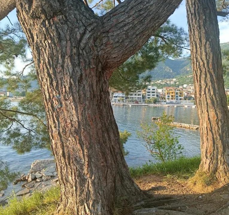 Photo of Others in Tivat