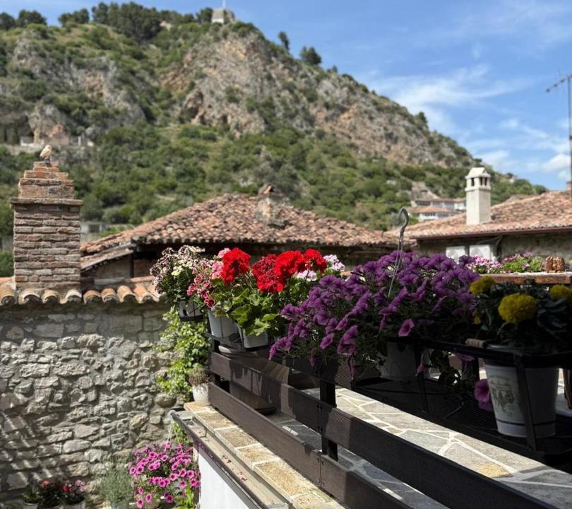 Photo of Others in Berat