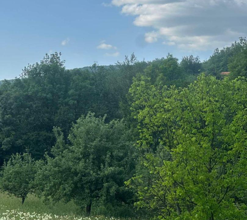 Photo of Others in Ninkovici