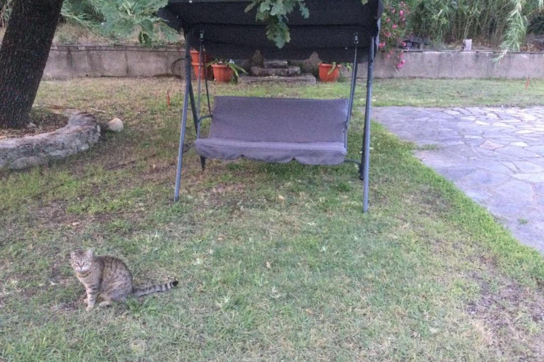Photo of Others in Corfu