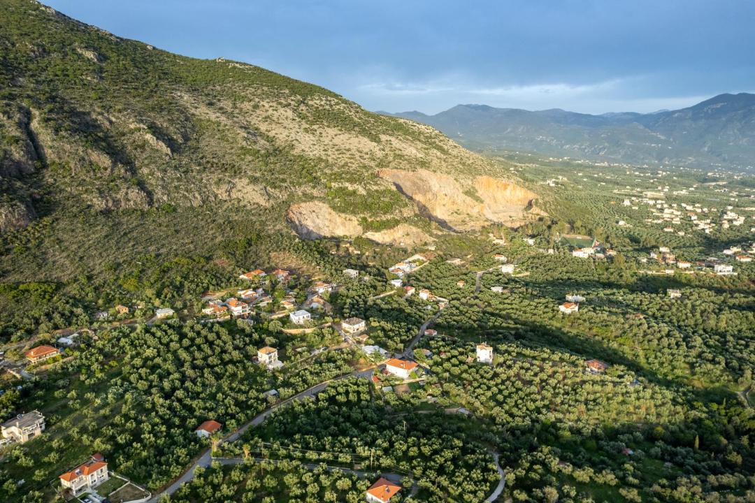 Photo of Others in Katsaraiika