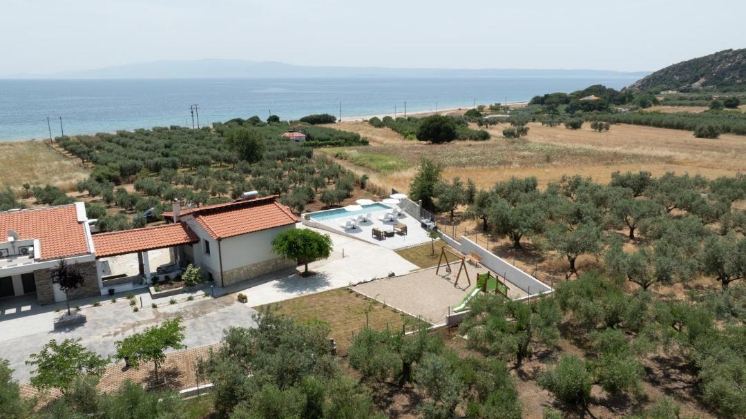 Photo of Others in Aristotelis