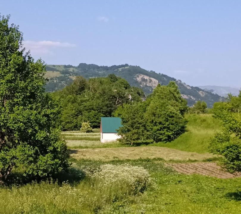 Photo of Others in Savnik