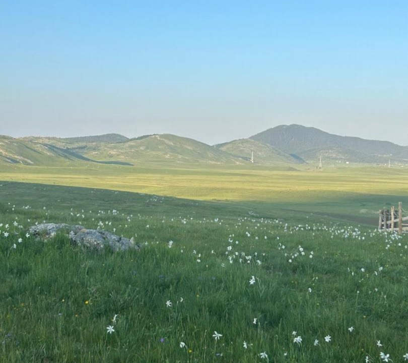 Photo of Others in Zabljak