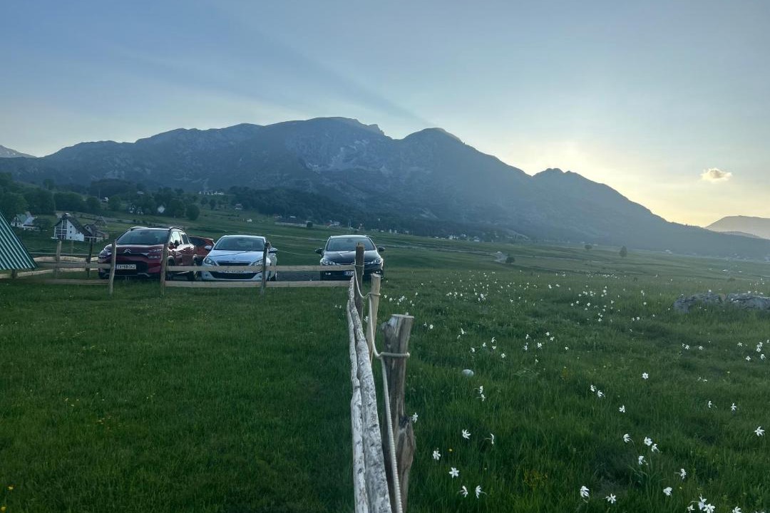 Photo of Others in Zabljak