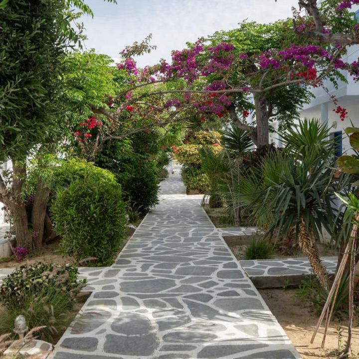 Photo of Others in Platis Gialos