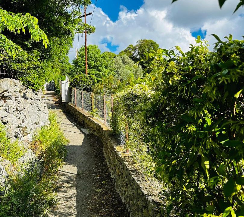 Photo of Others in Sutomore