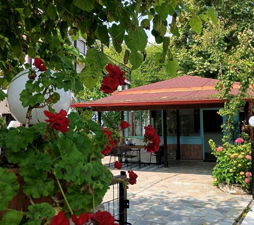 Photo of Others in Paralia Skotinis