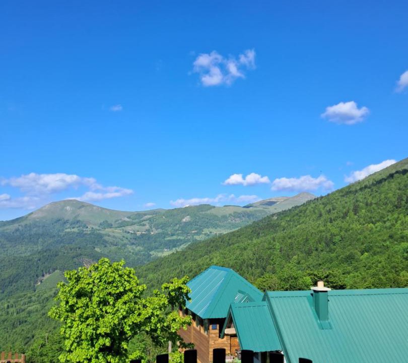 Photo of Others in Mojkovac