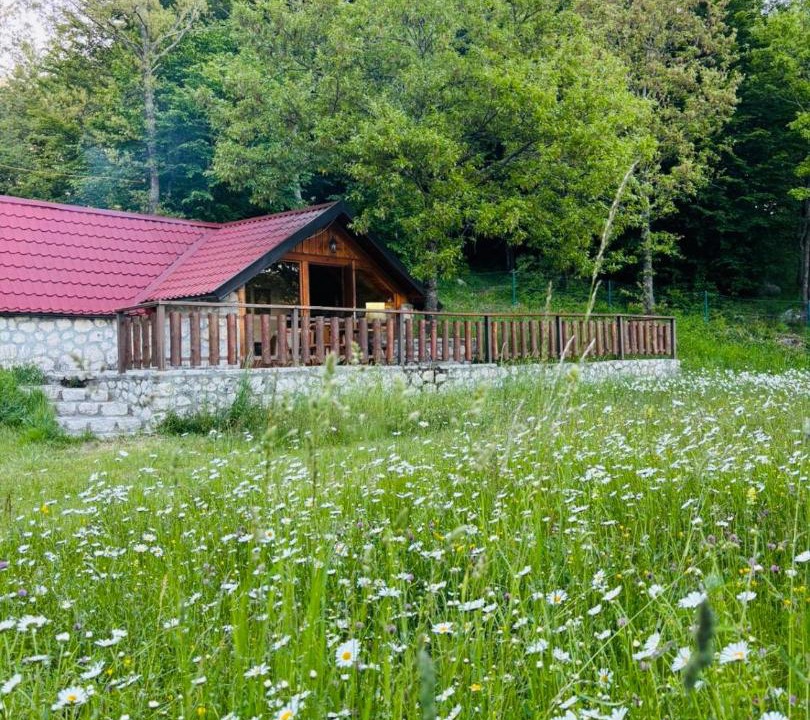Photo of Others in Cetinje