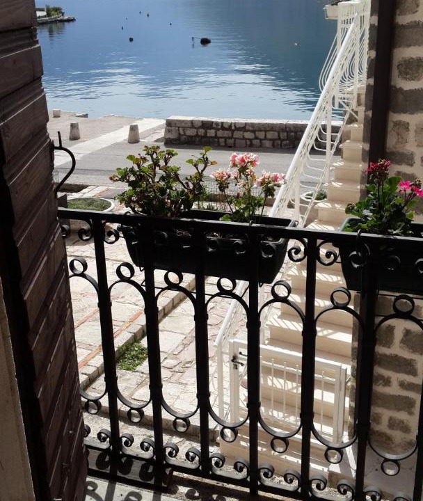 Photo of Others in Perast
