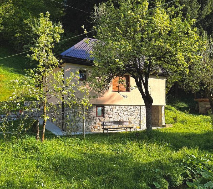 Photo of Others in Montenegro