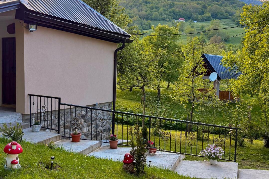 Photo of Others in Montenegro