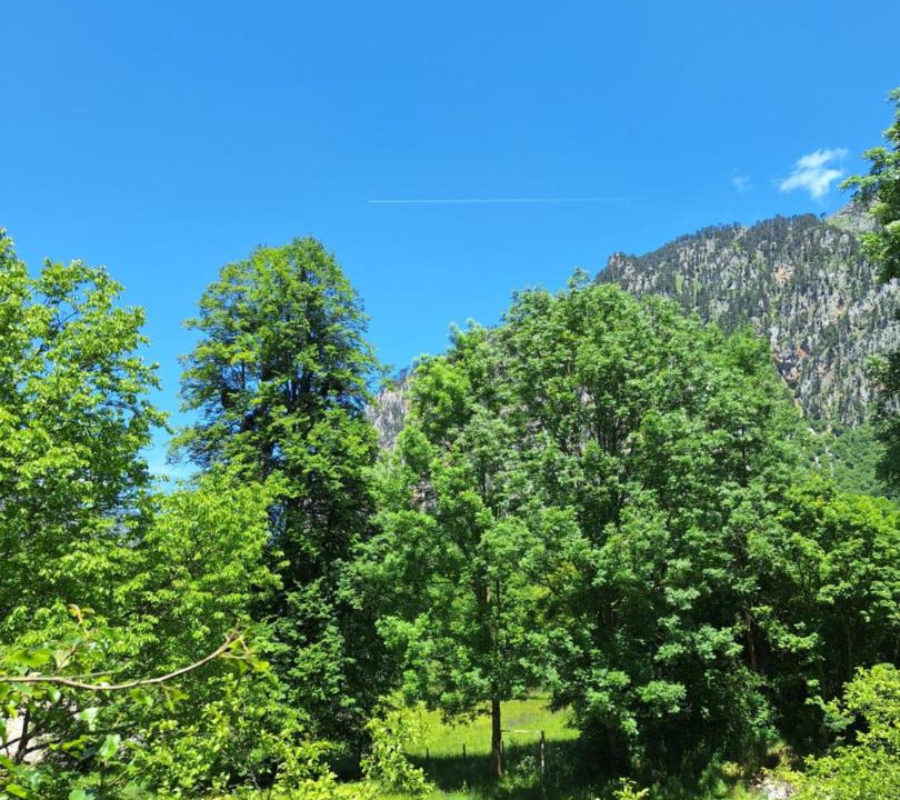 Photo of Others in Montenegro
