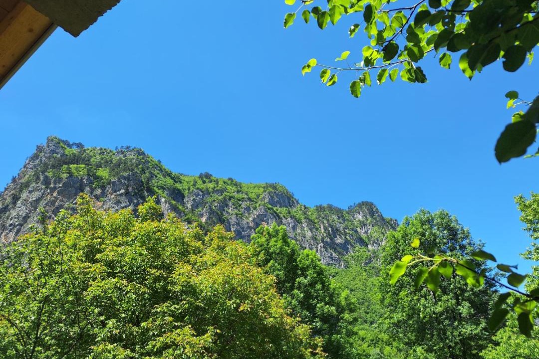 Photo of Others in Montenegro