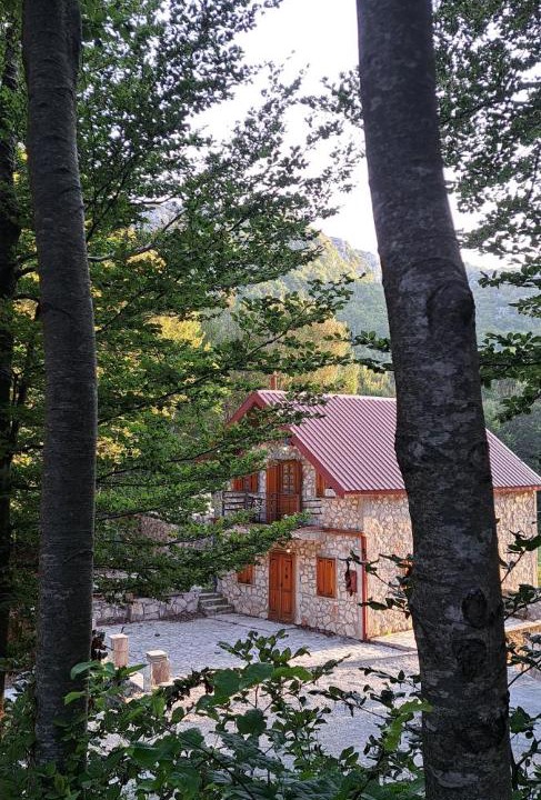 Photo of Others in Cetinje