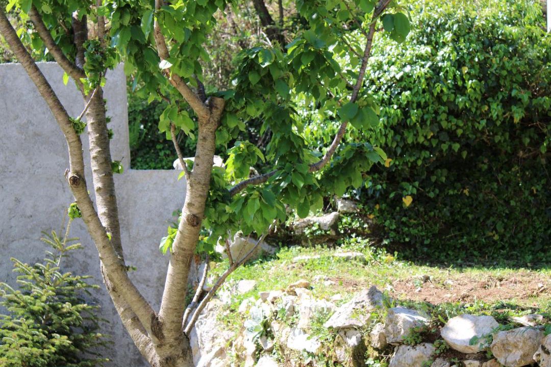 Photo of Others in Mokrine