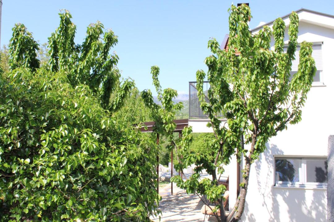 Photo of Others in Mokrine