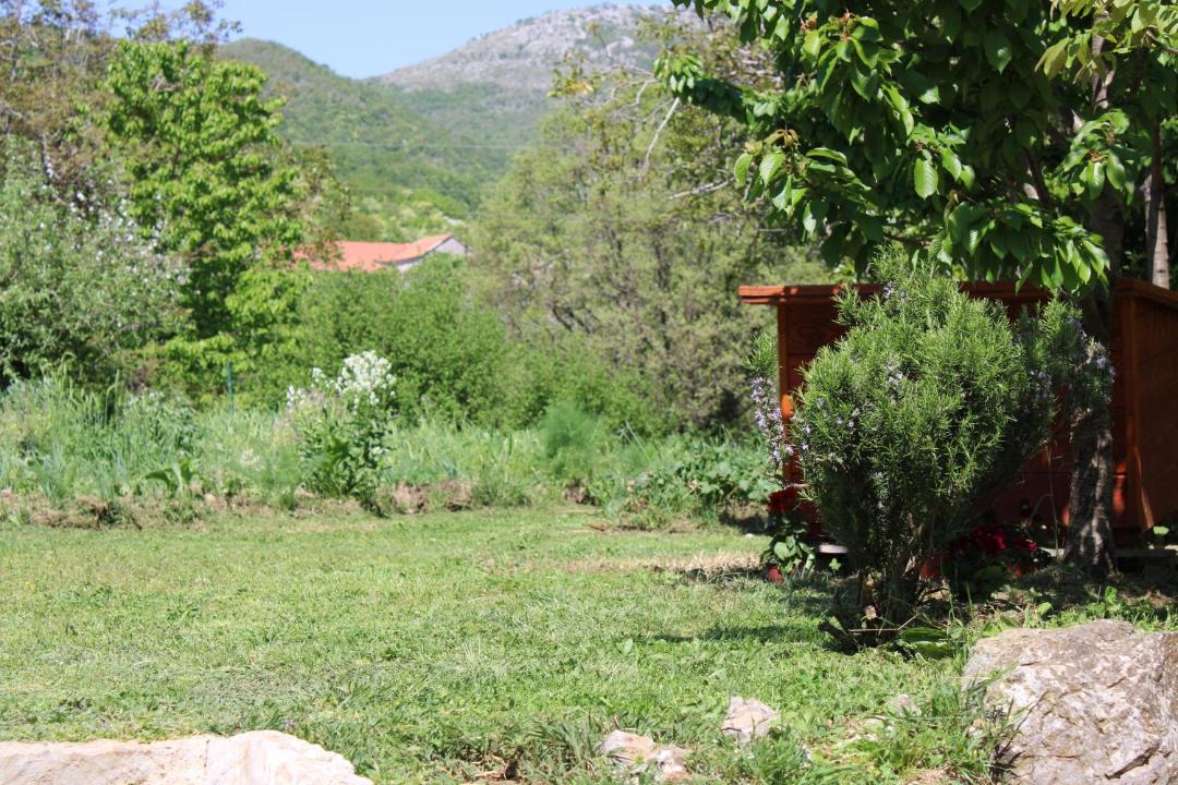 Photo of Others in Mokrine