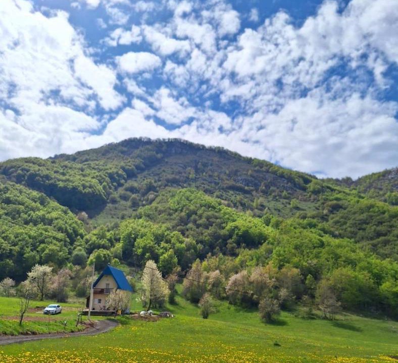 Photo of Others in Milosevici