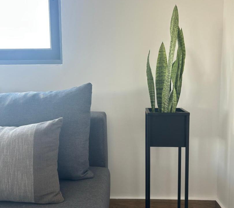 Photo of Livingroom in Markopoulon