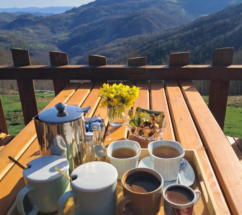 Photo of Others in Mojkovac