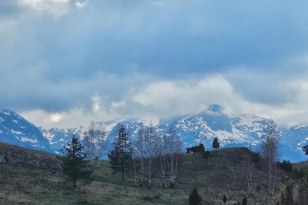 Photo of Others in Zabljak