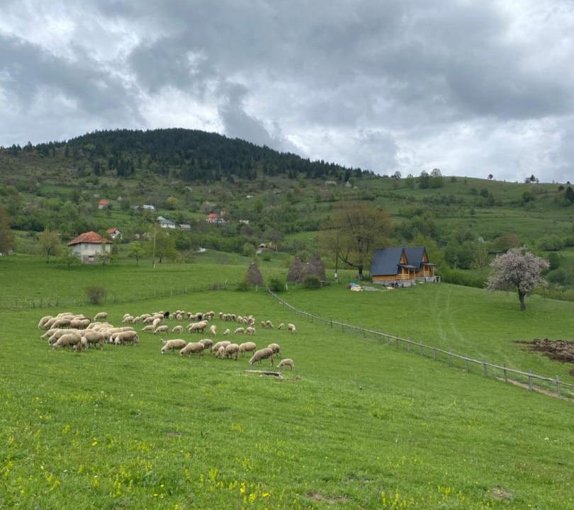 Photo of Others in Kaludra