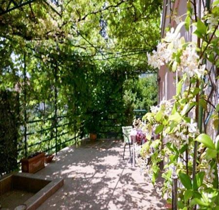 Photo of Patio Balcony in Risan