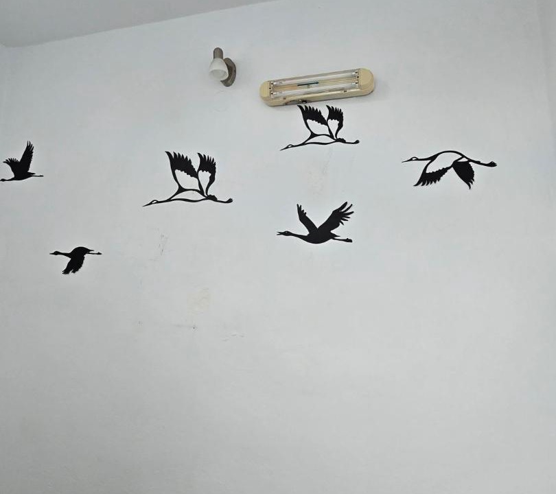 Photo of Others in Tinos Town