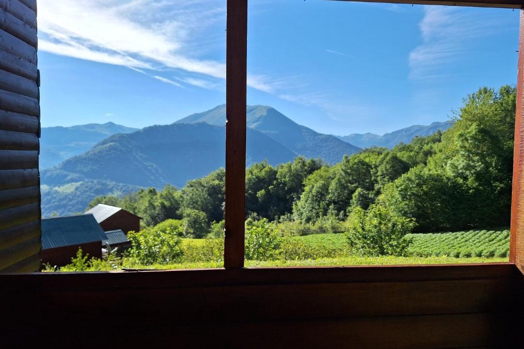 Photo of Others in Mojkovac