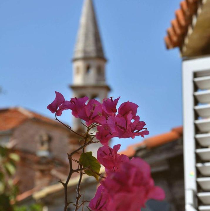 Photo of Others in Old Town