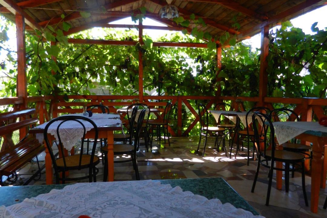 Photo of Others in Zelenika