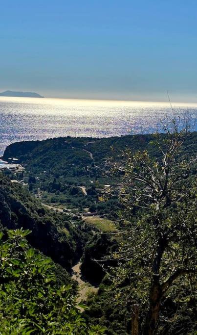 Photo of Others in Himare