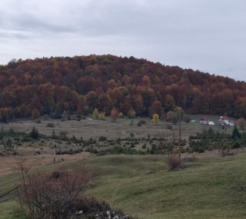 Photo of Others in Zabljak