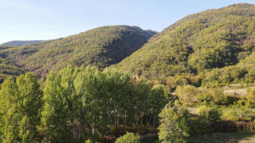 Photo of Others in Elatochori