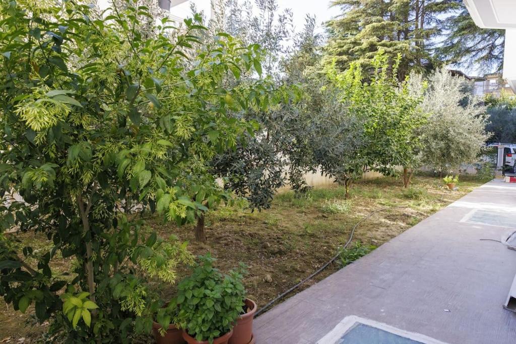 Photo of Others in Mbrostar-Urë