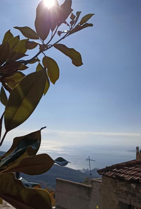Photo of Others in Volos