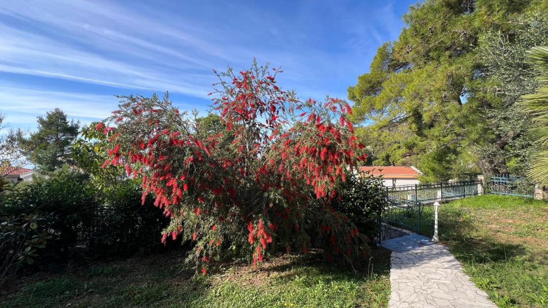 Photo of Outdoor in Susanj